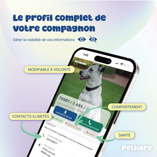 Médaille NFC & QR pour Chien et Chat | Partage de position GPS | Sans Abonnement